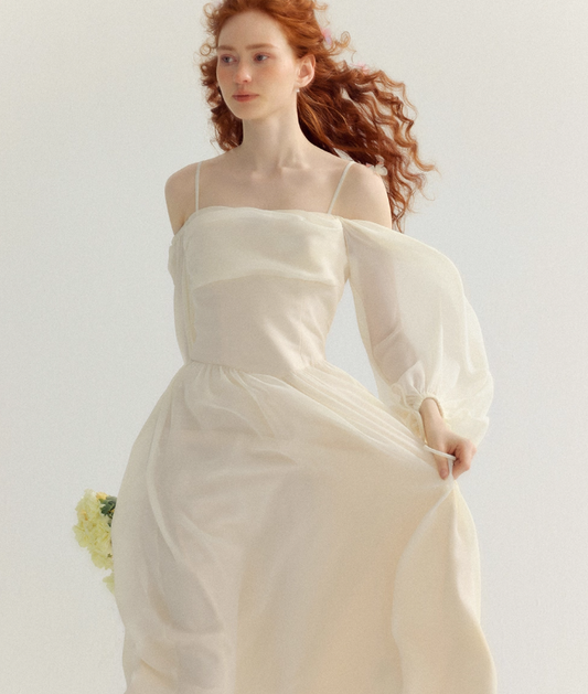 Ivory Gentle A Line Long Sleeve Chiffon Long Prom Dress Party Dress Outfits SH4149
