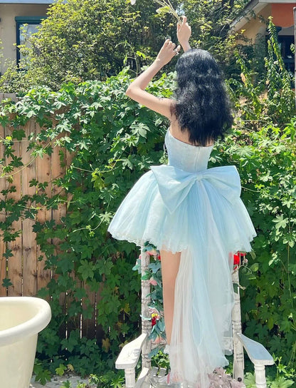 Baby Blue A Line Sweetheart Neck Tulle Short Prom Dress Homecoming Dress SH8653