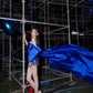 Royal Blue Sheath Strapless Sequin Satin Short Prom Dress Homecoming Dress SH4092
