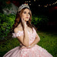 Princess Floral Off the Shoulder Tulle Quinceanera Dress Ball Gown N1350