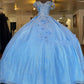 Princess Floral Off the Shoulder Tulle Quinceanera Dress Ball Gown N1350