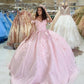 Princess Floral Off the Shoulder Tulle Quinceanera Dress Ball Gown N1350