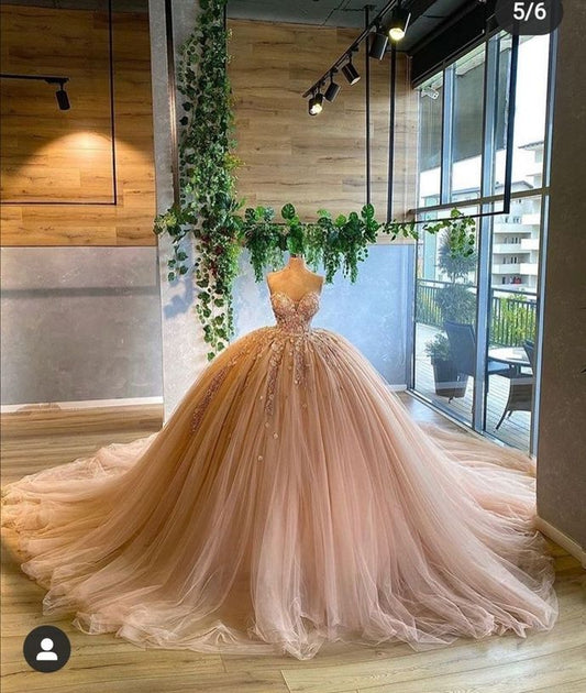 Ball Gown Pink Prom Dresses Quinceanera Dresses ED600